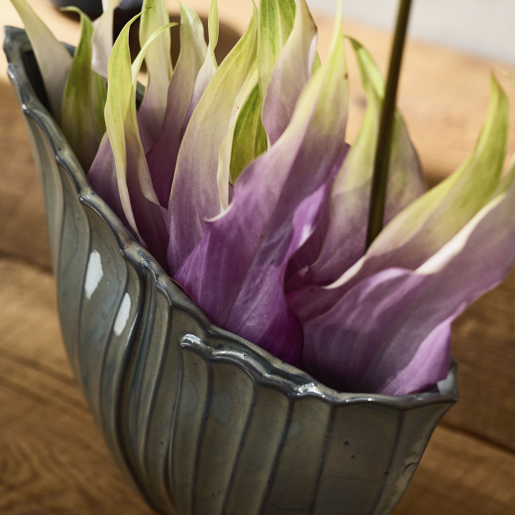 emerge 形状展開: S  外寸：25L×13W×20H