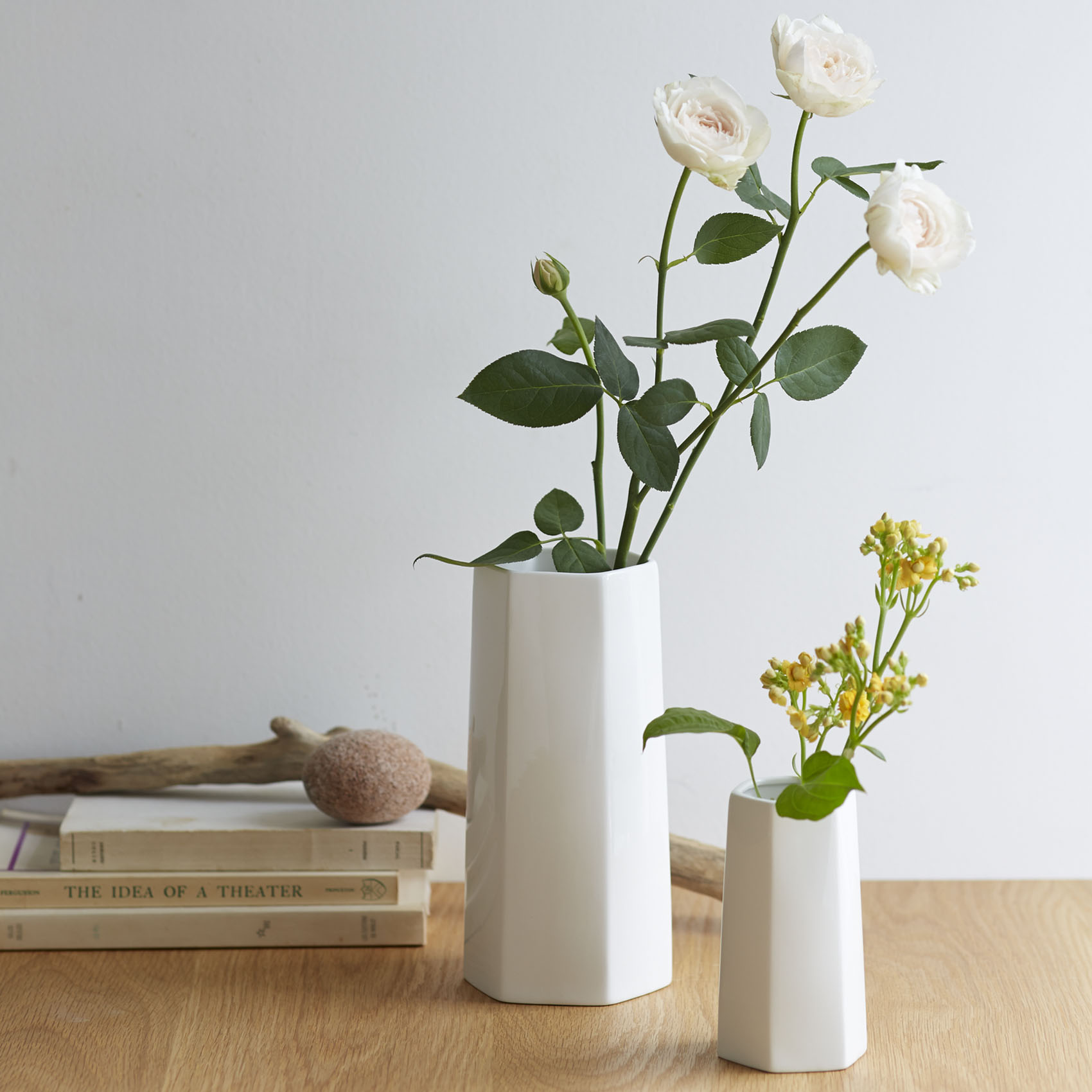 The VASE type D