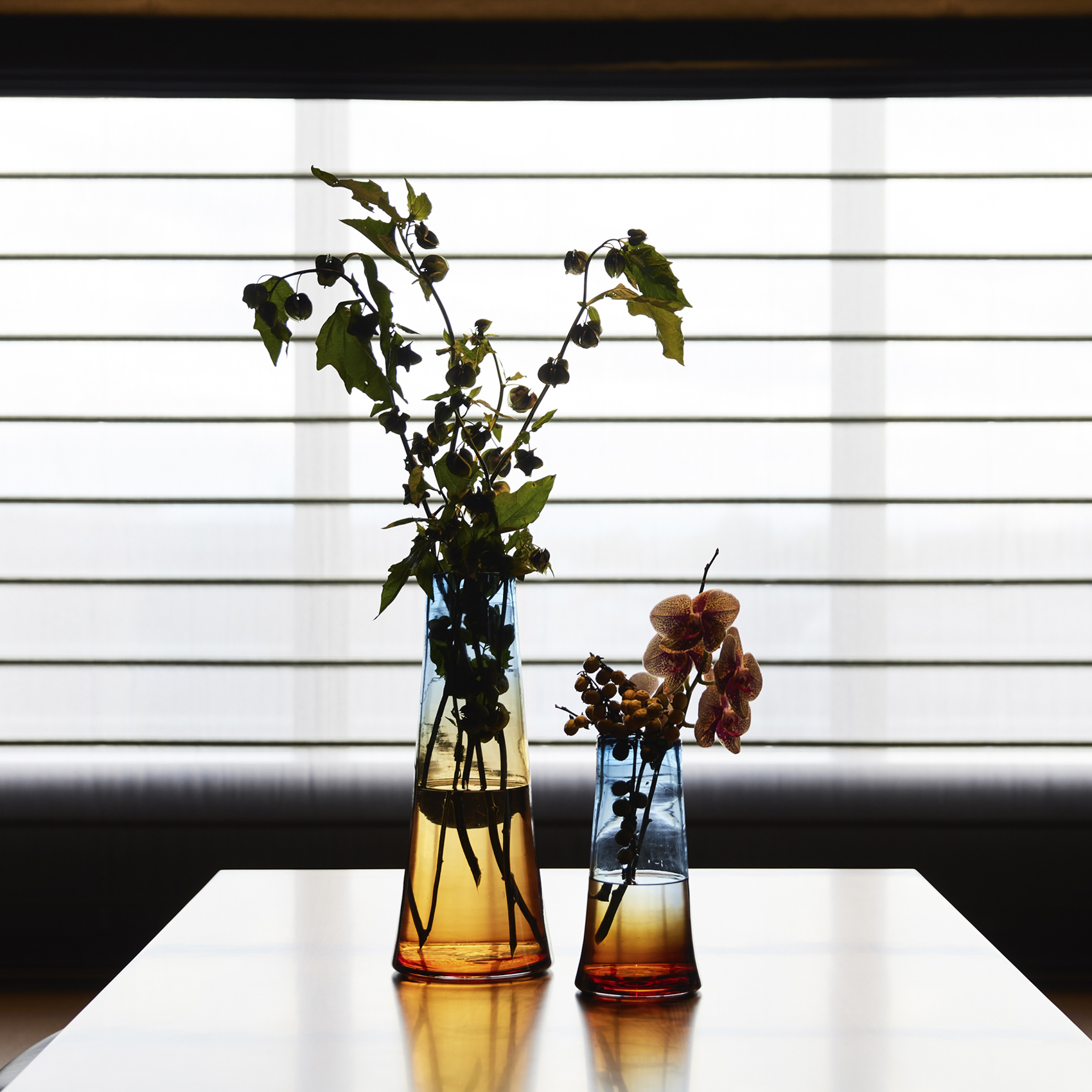 Ciel 形状展開: S  外寸：15φ×31H