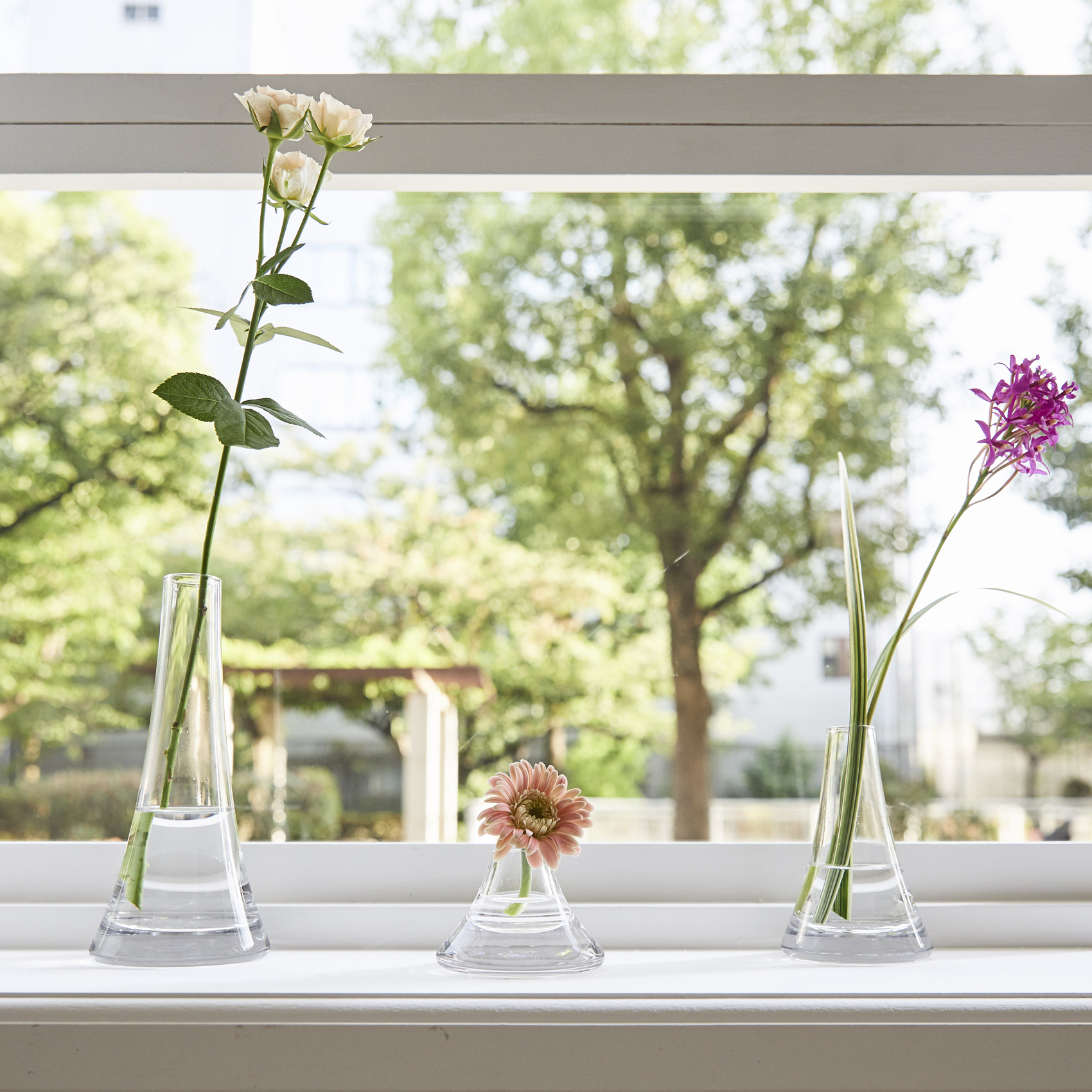 Fuji 形状展開: S  外寸：7.5φ×5H