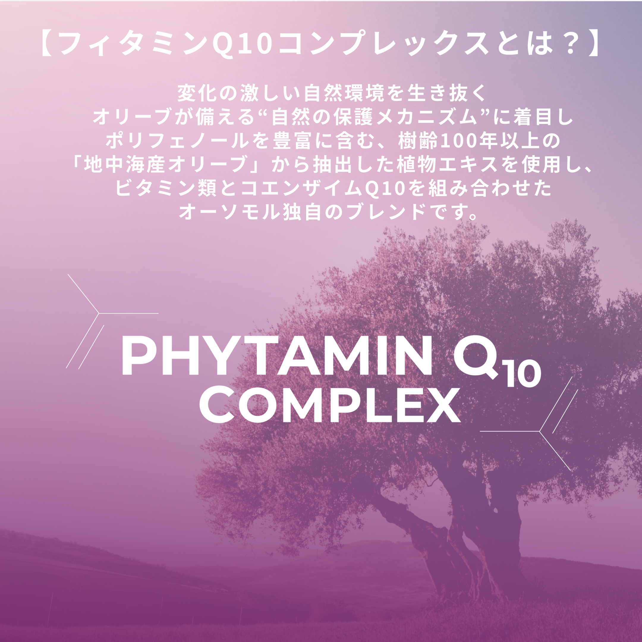 オーソモル ビューティ 7日分