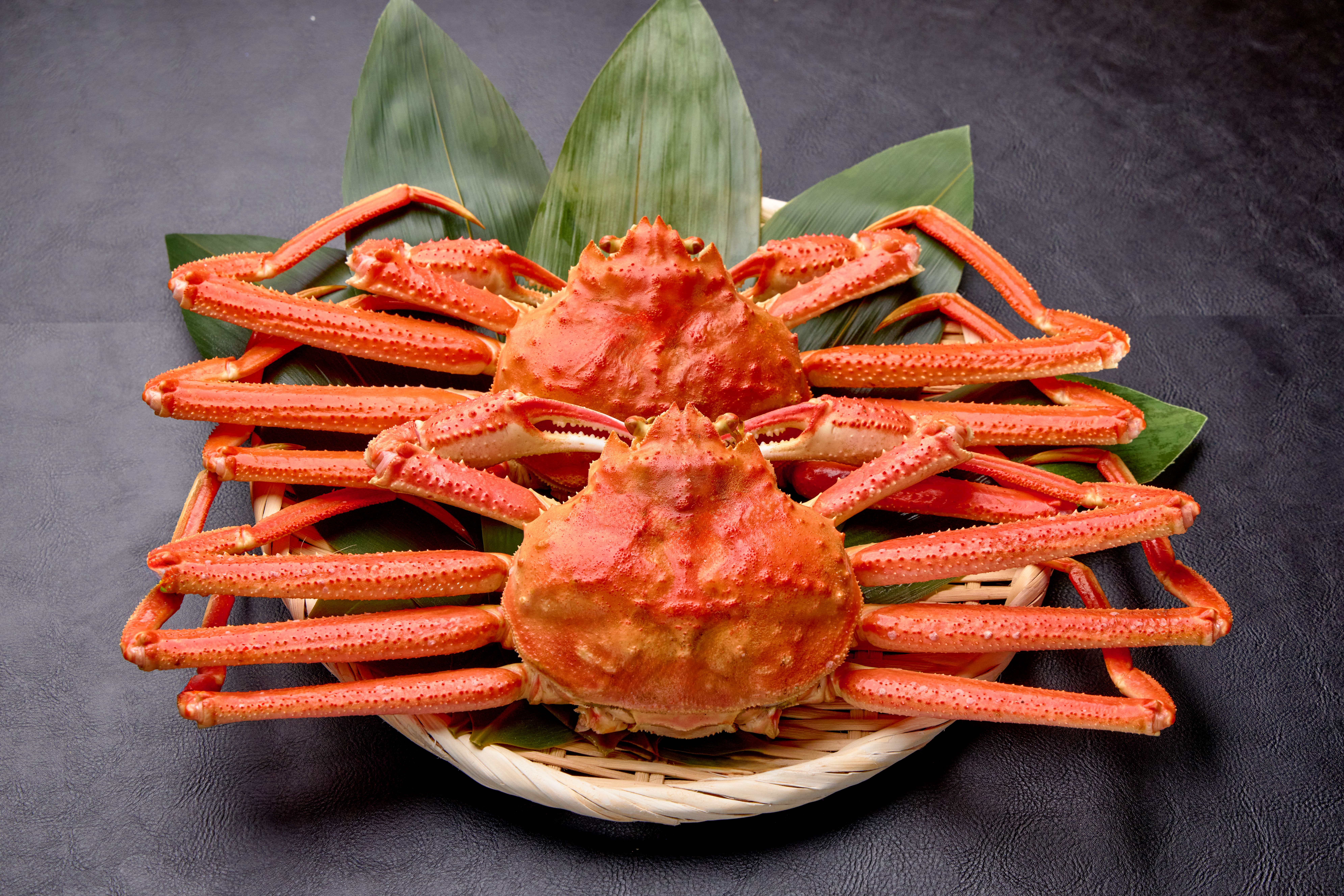 【北海道産】冷凍オオズワイガニ 2kg