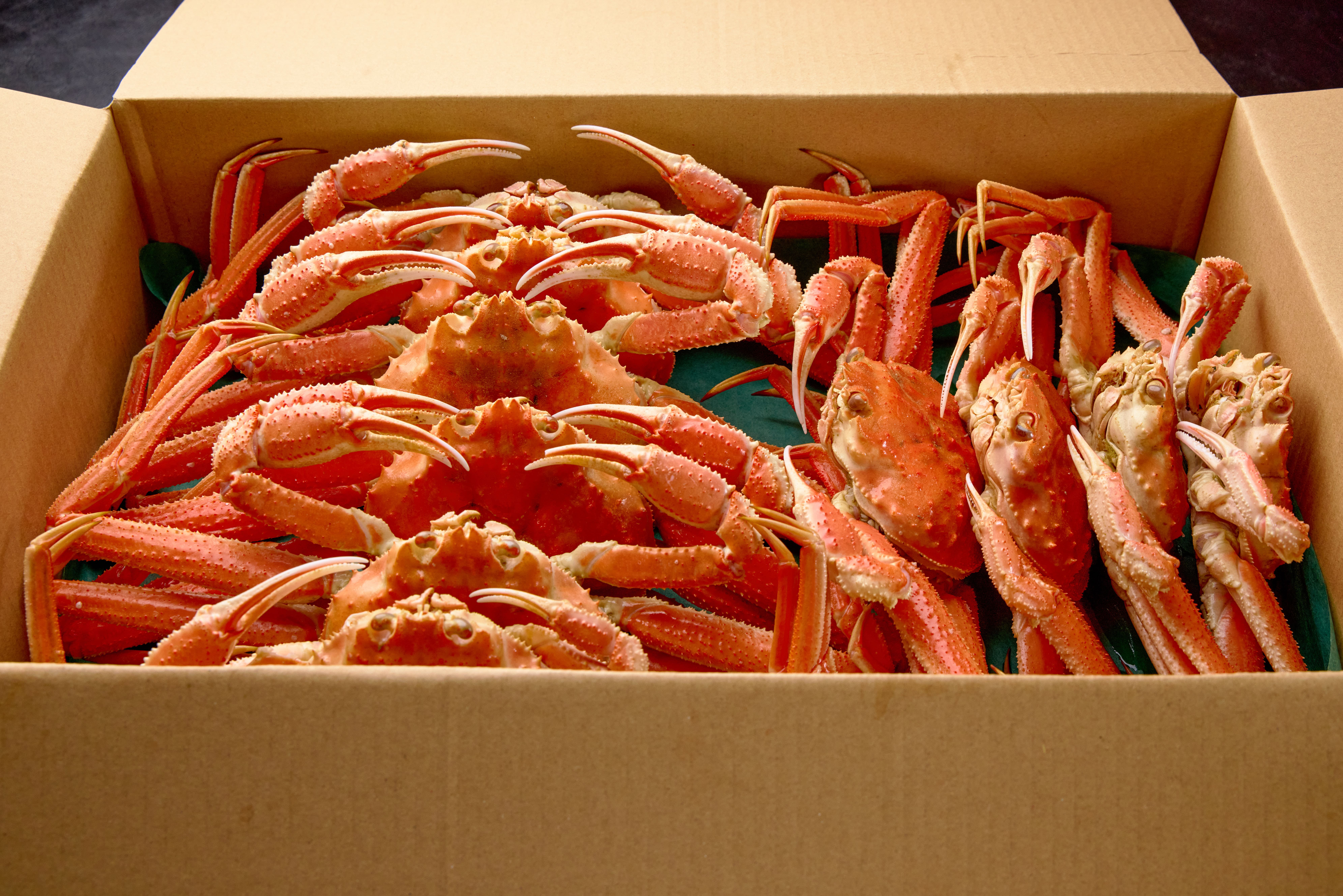 【北海道産】冷凍オオズワイガニ 3kg
