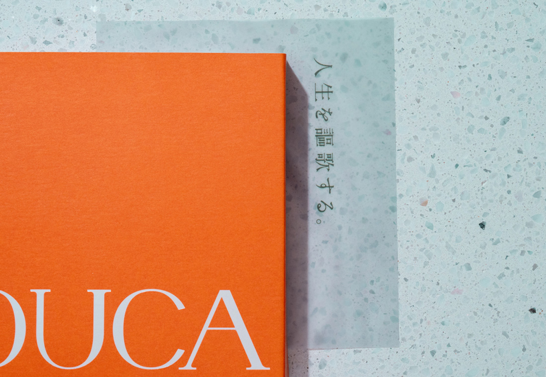 OUCA supplement 30粒入（15粒×2袋）×2箱セット 通常購入