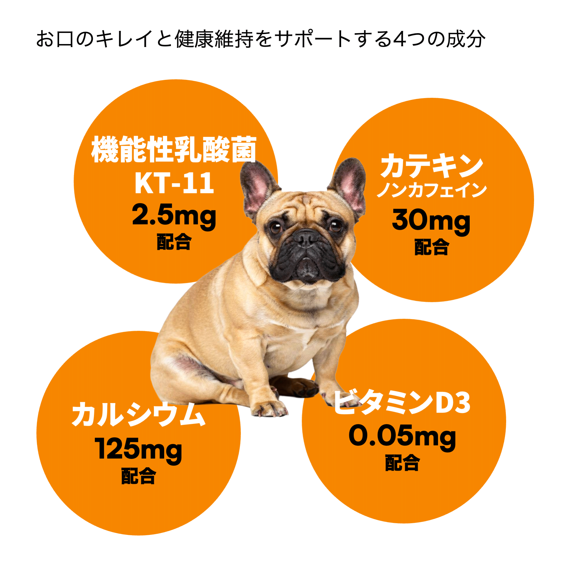 Well JELLY Oral Condition パイン