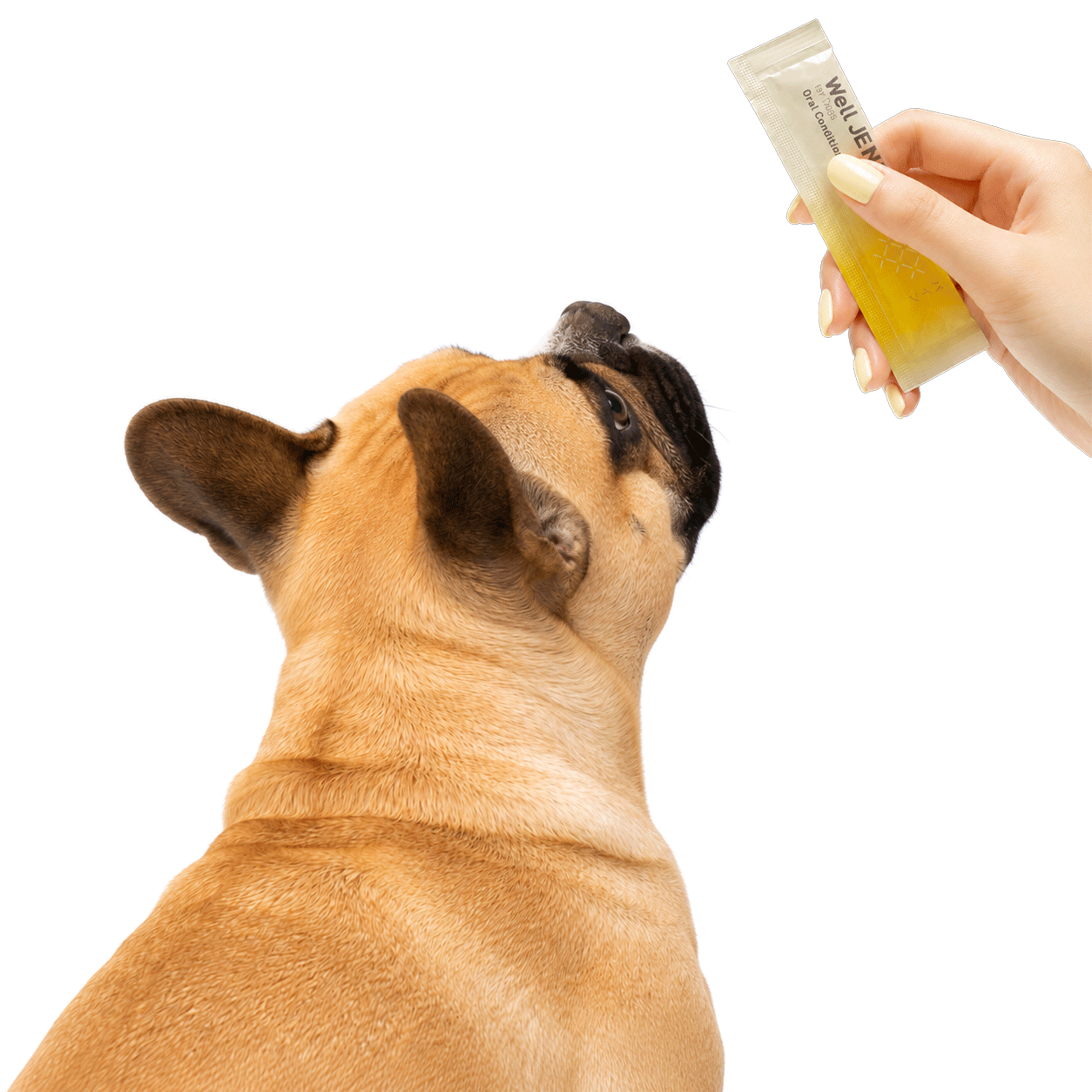 Well JELLY Oral Condition パイン