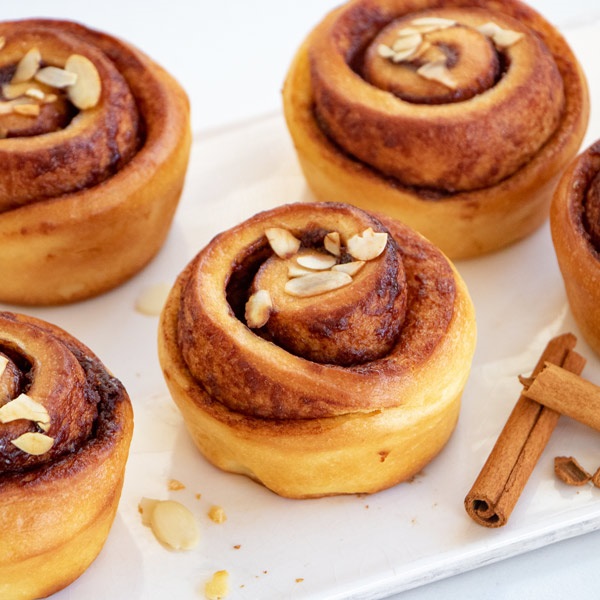 おすすめパンギフト