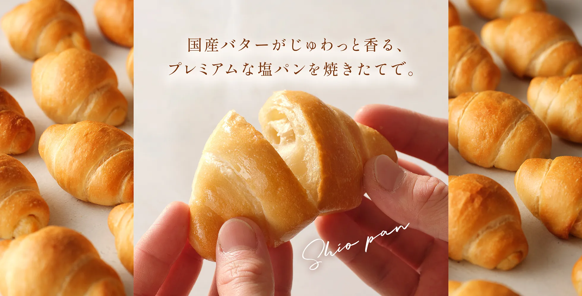 プレミアムな塩パン