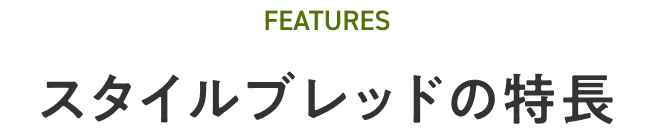 スタイルブレッドの特徴