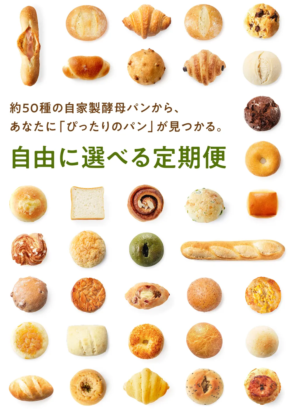 自由に選べる定期便 約50種の自家製酵母パンから、あなたに「ぴったりのパン」が見つかる。