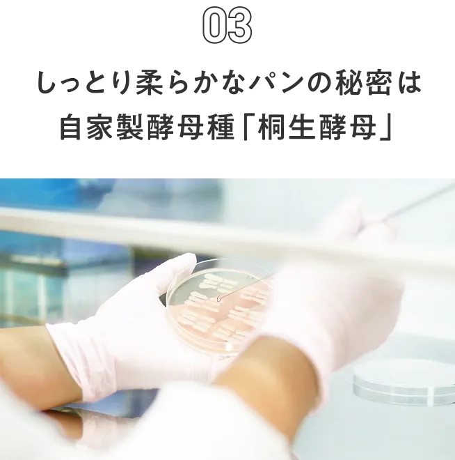 しっとり柔らかなパンの秘密は自家製酵母種「桐生酵母」