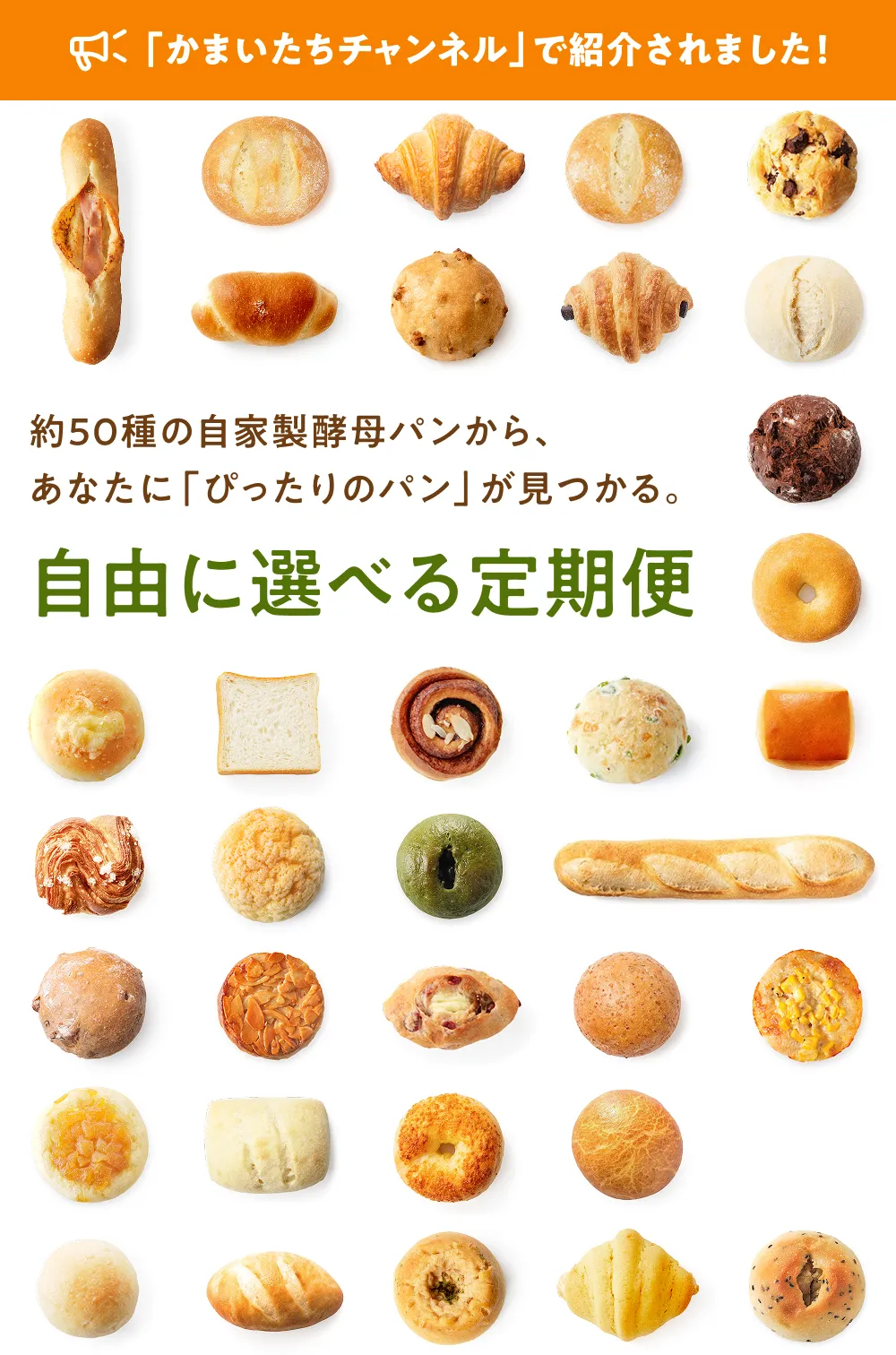 自由に選べる定期便 約50種の自家製酵母パンから、あなたに「ぴったりのパン」が見つかる。