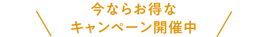 今ならお得なキャンペーン開催中