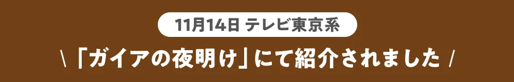 ガイアの夜明けで紹介されました