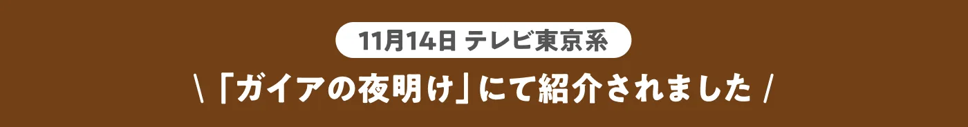 ガイアの夜明けで紹介されました