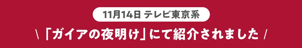 ガイアの夜明けで紹介されました