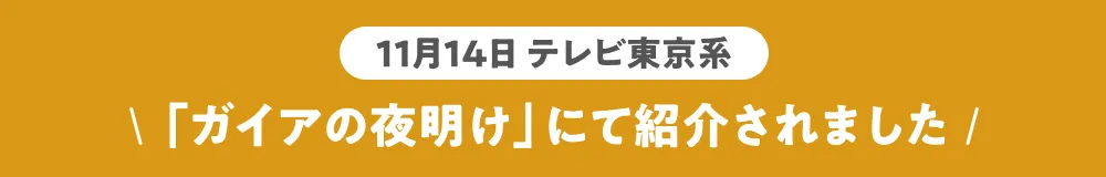 ガイアの夜明けで紹介されました