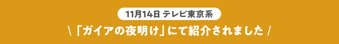 ガイアの夜明けで紹介されました