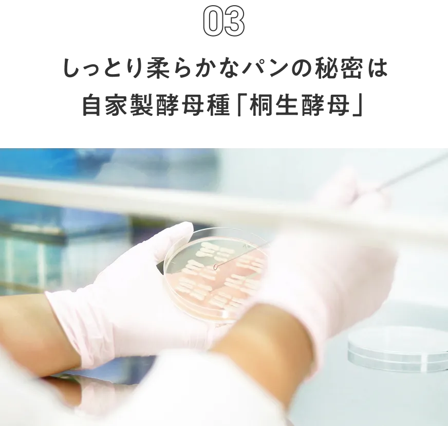 しっとり柔らかなパンの秘密は自家製酵母種「桐生酵母」