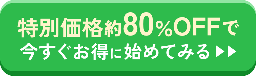 特別価格約80%OFF