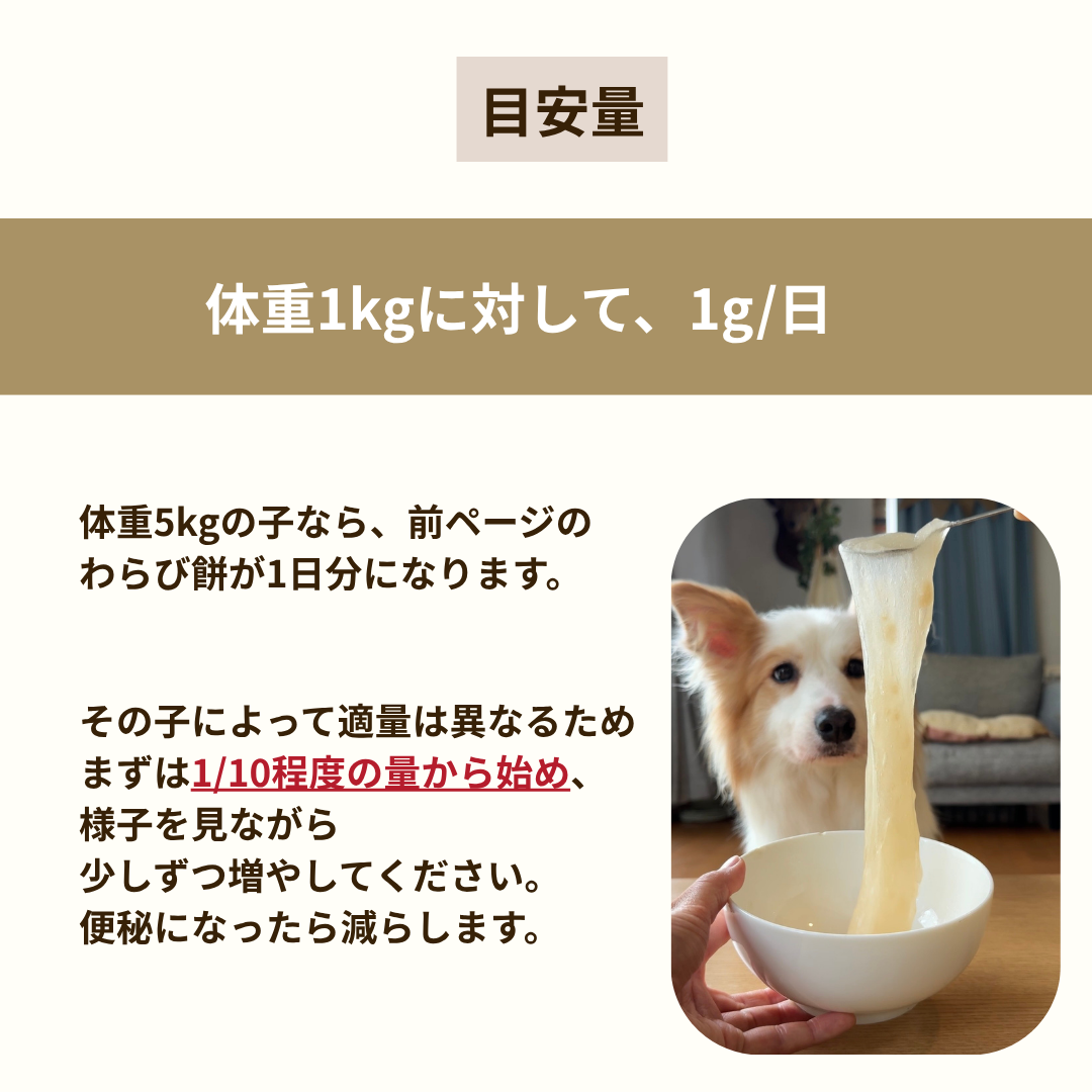 【下痢・便秘に】サイリウム　100g