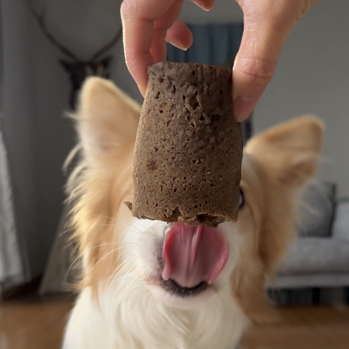 【バレンタインデーに！】米粉のホットケーキミックス　チョコレート味