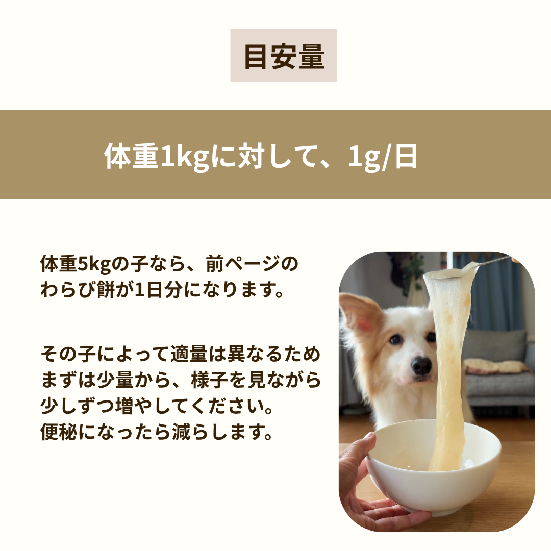 【下痢・便秘に】サイリウム　100g