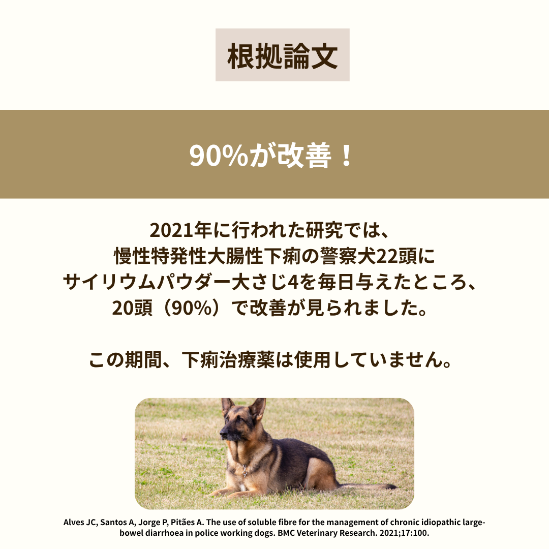 【下痢・便秘に】サイリウム　100g