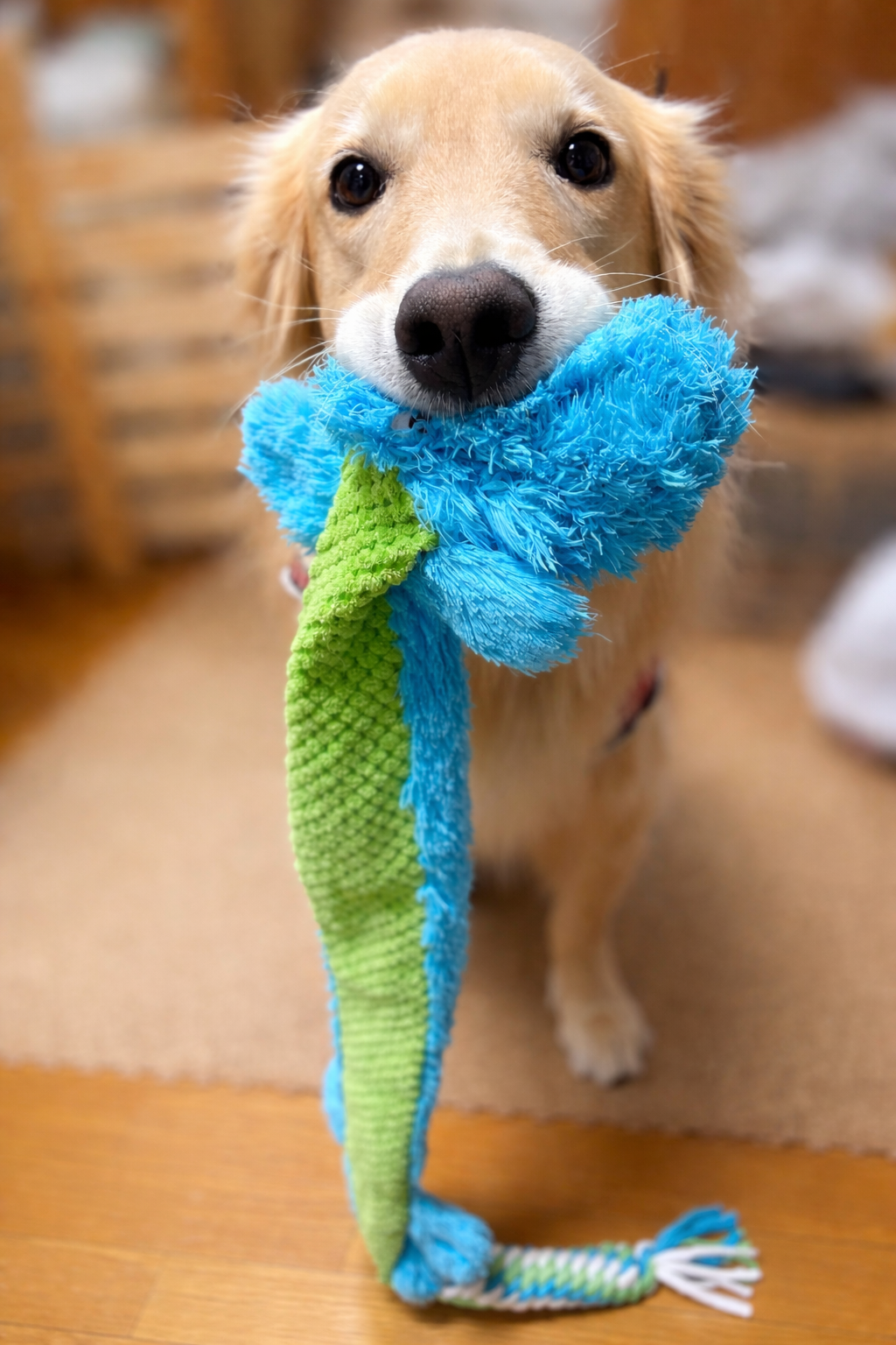 KONG　ワインダーテイル アリゲーター