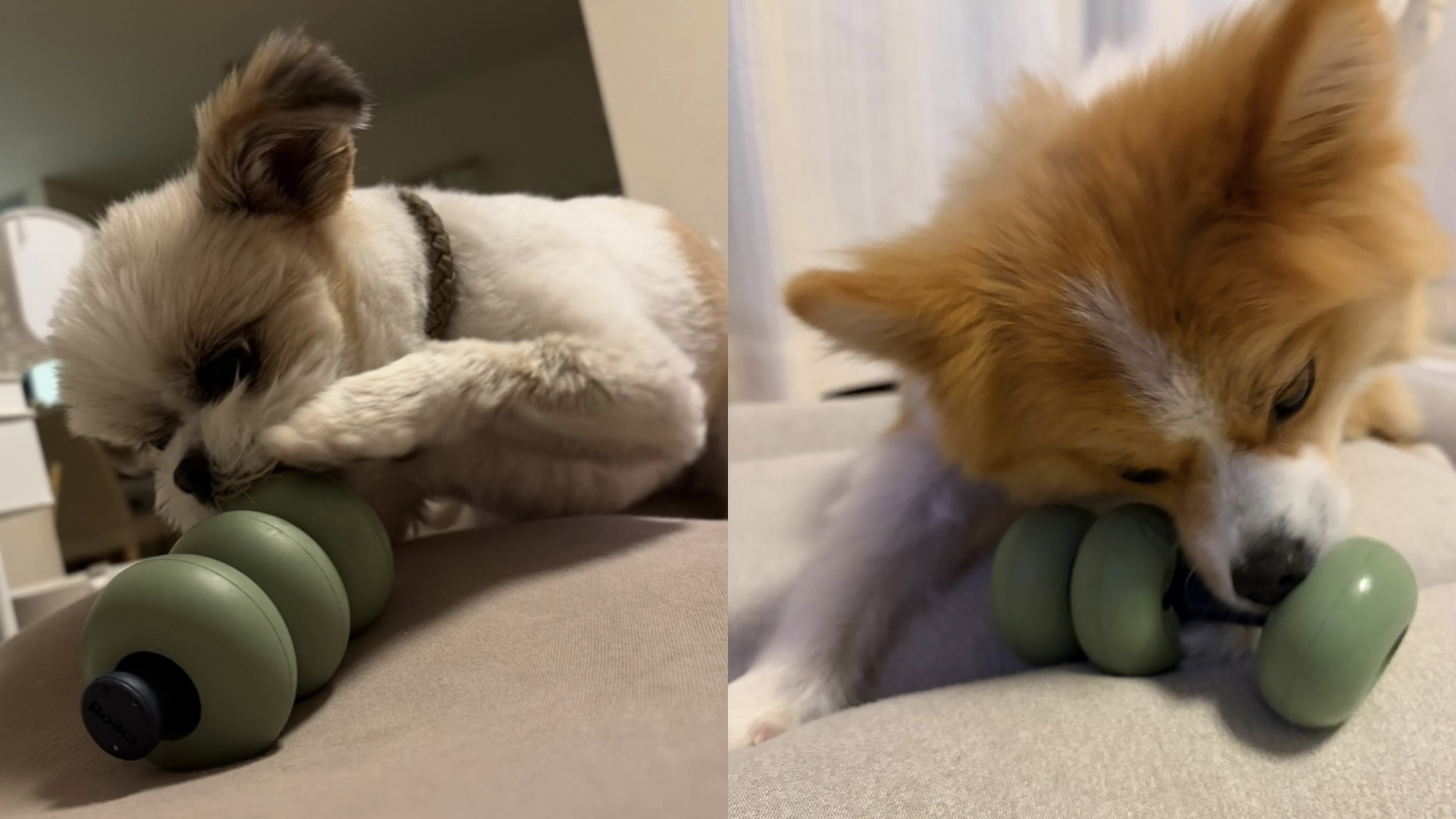 Roika（ロイカ）| ドッグトイ ノーズワーク