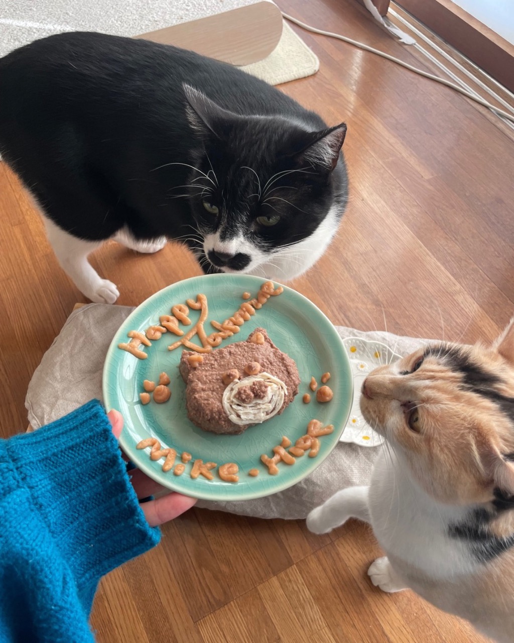 ねこ　手作りケーキ　ウェットケーキ