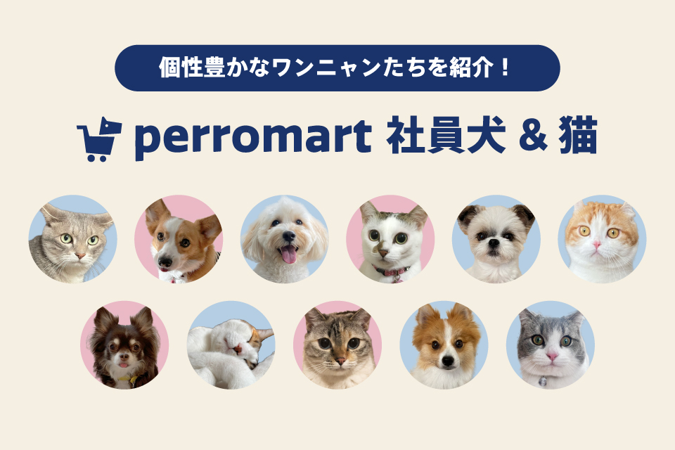 社員わんこのお泊まり会に潜入！