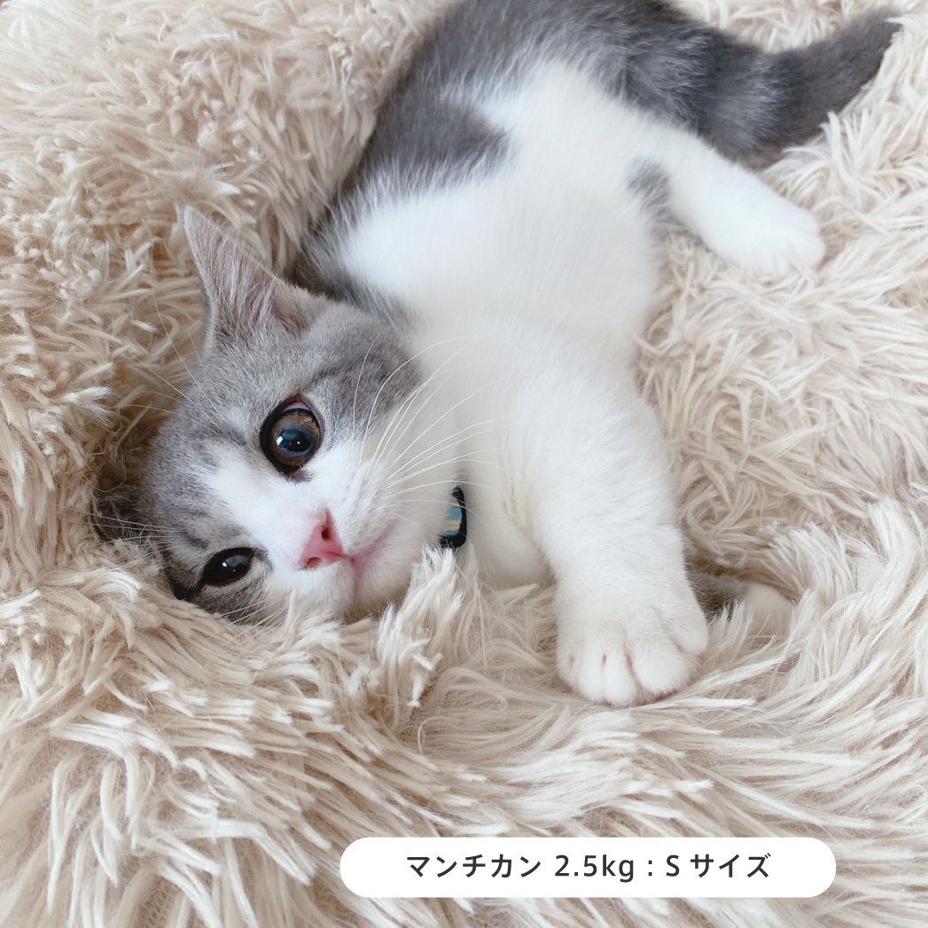 ふわふわラウンドクッション(ライトグレー/Lサイズ)