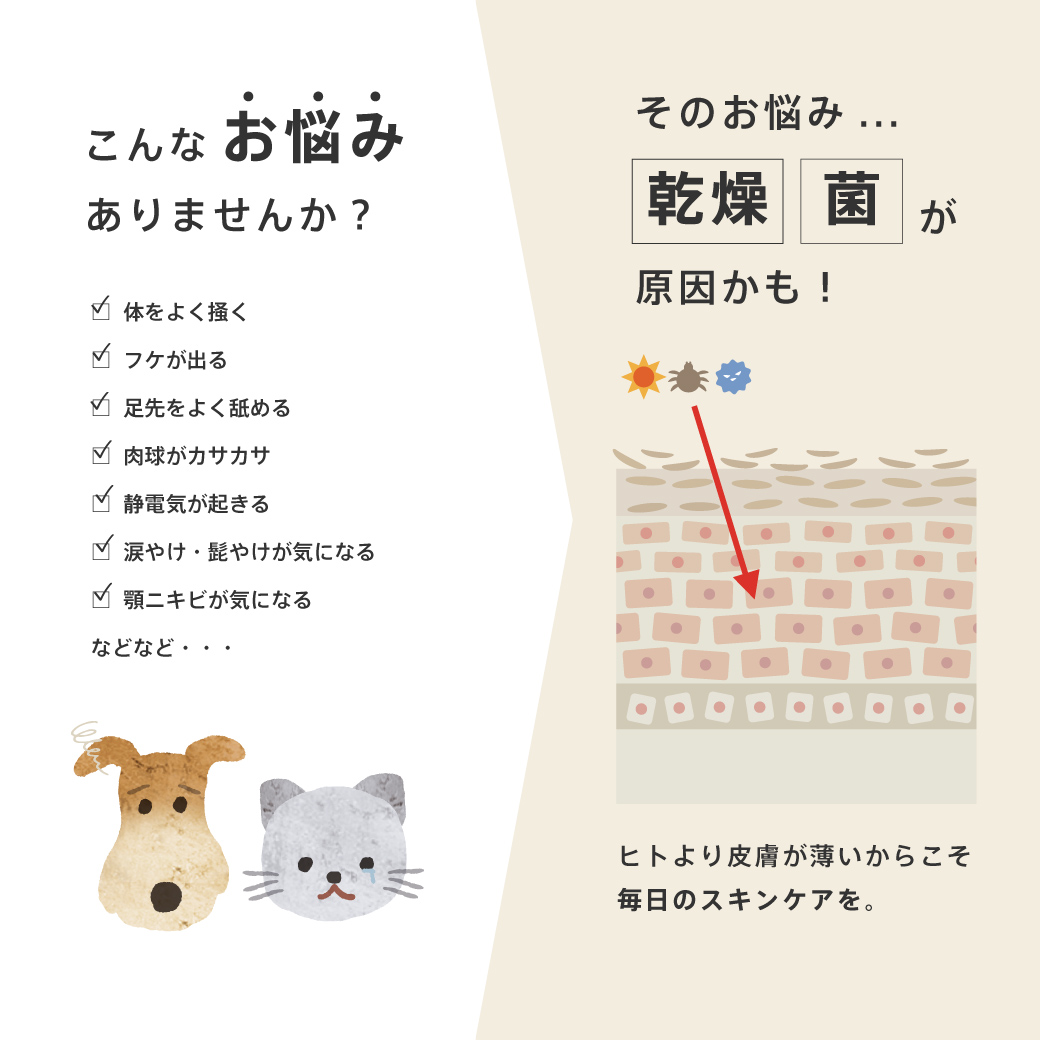 モイスチャームース サイズ: 30ml(定価¥1,080)