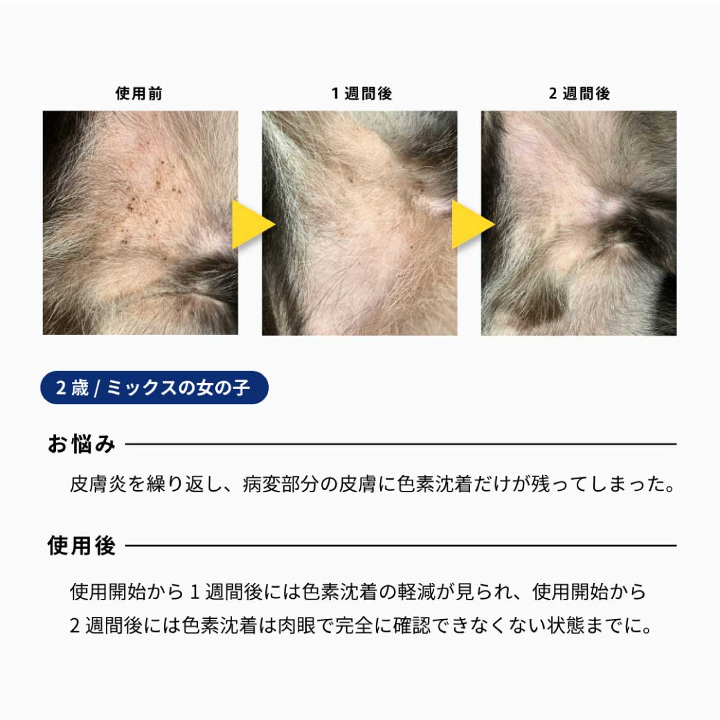 モイスチャームース サイズ: 30ml(定価¥1,080)