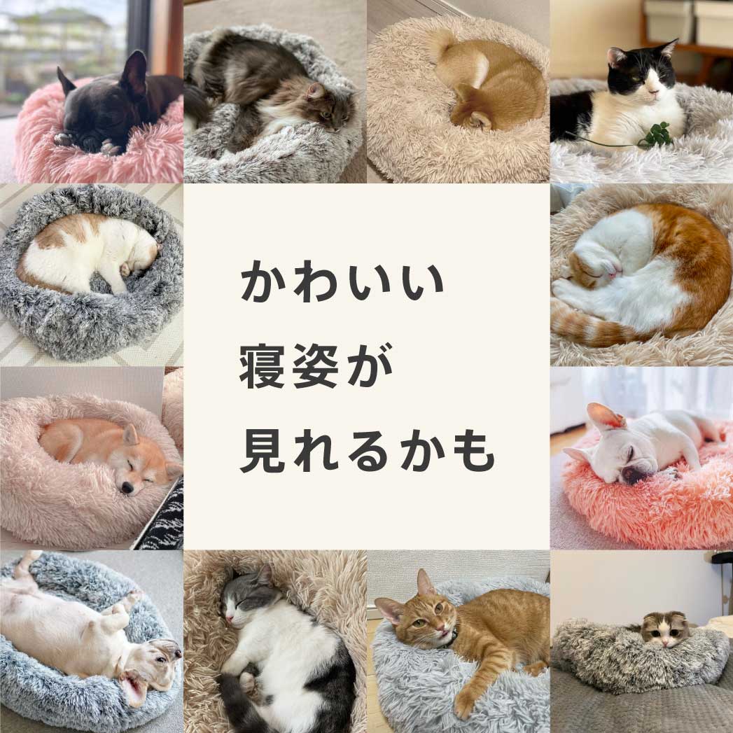 ふわふわラウンドクッション(S/M/L) 種類: ライトグレー S(50㎝)