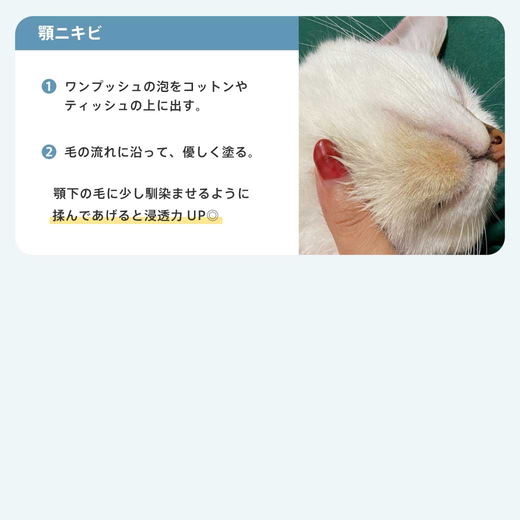 モイスチャームース サイズ: 30ml(定価¥1,080)