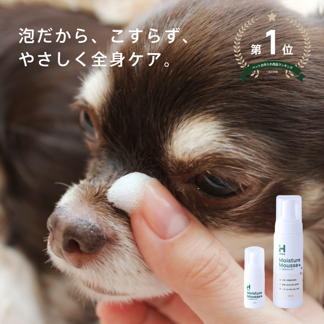 モイスチャームース サイズ: 30ml(定価¥1,080)