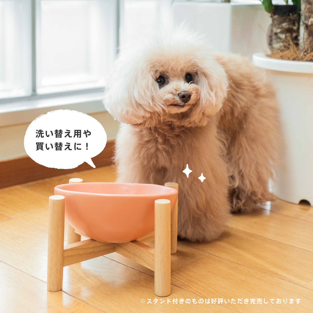 セーフティセラミックボウル (単品) 種類: ボウル単品 ホワイト/L 