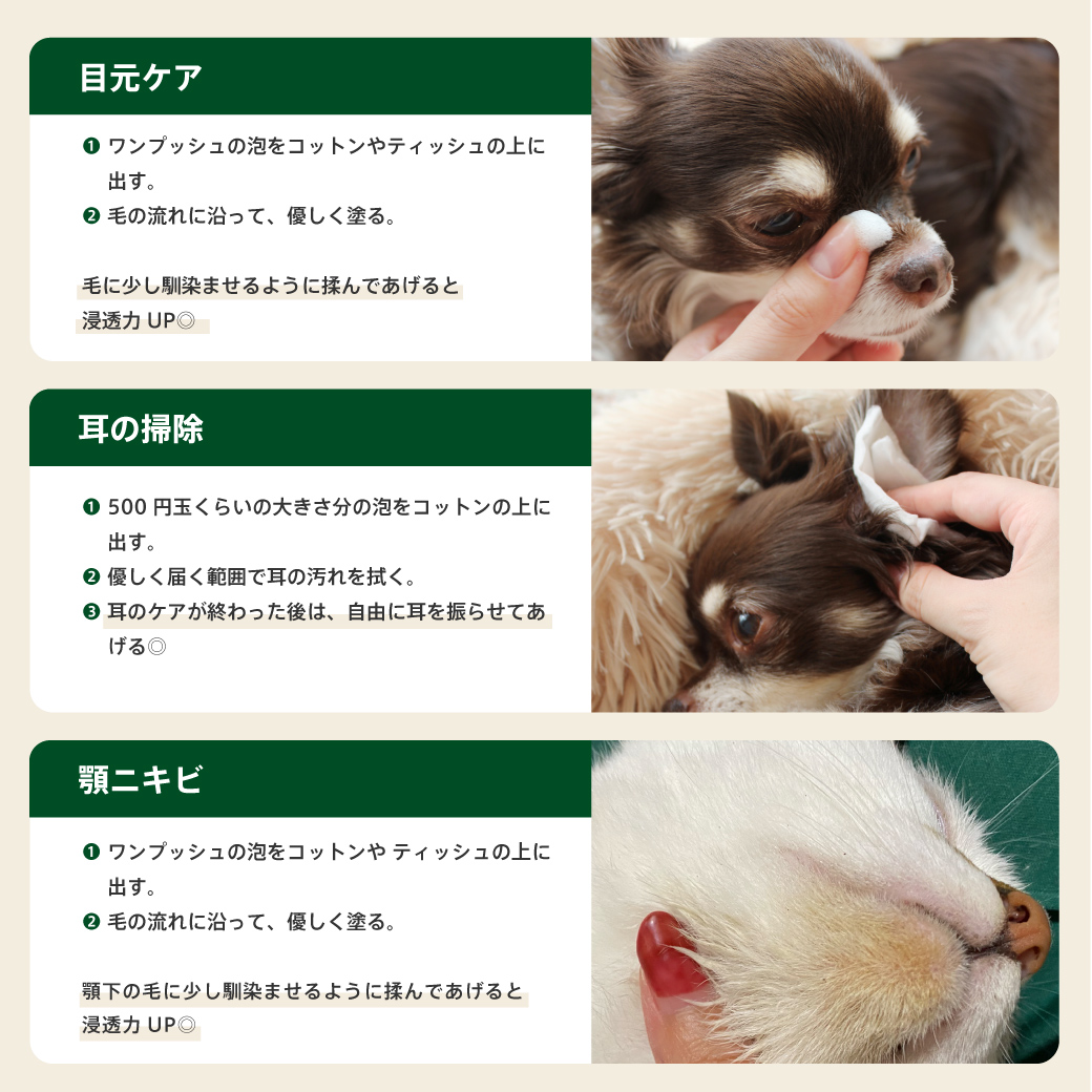 モイスチャームース サイズ: 30ml(定価¥1,080)