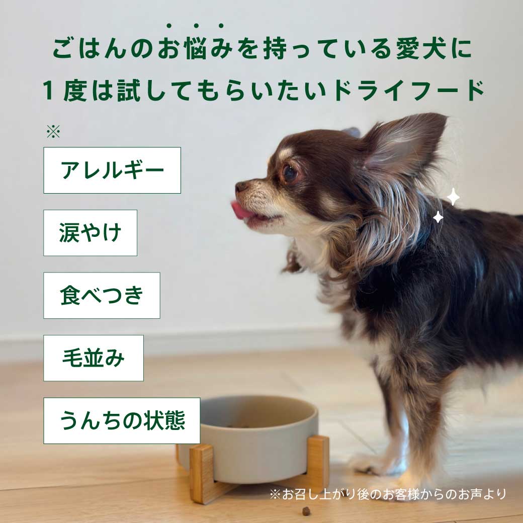 【送料無料】はじめてのHEKAセット 種類: 各1種(サーモン/ラム/ターキー)