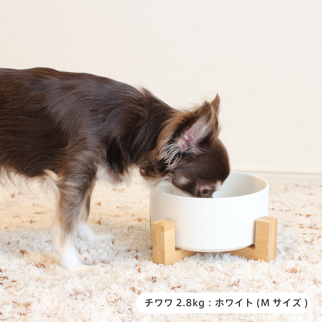 ワイヤースタンド付きセラミックボウル ダブル 種類: ホワイト/M(850ml)