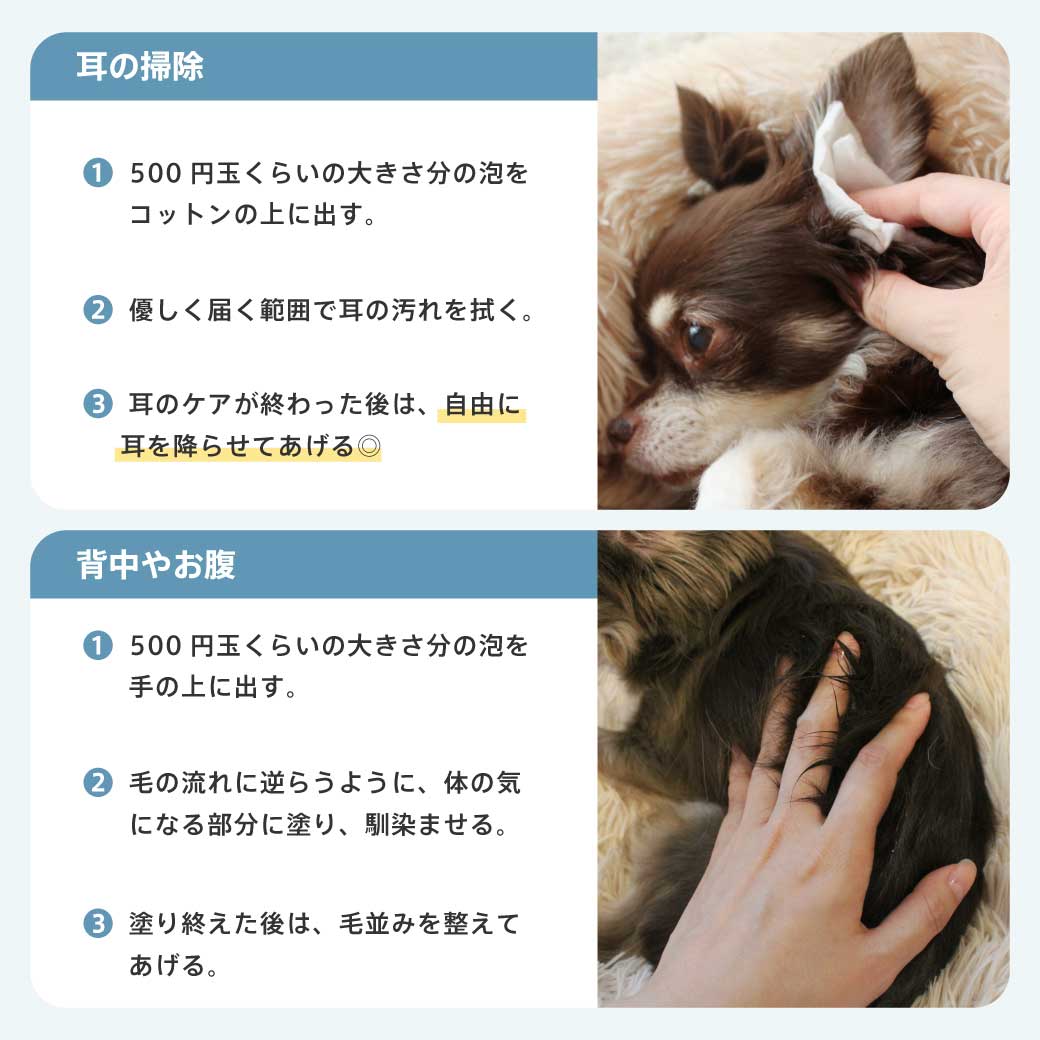 モイスチャームース サイズ: 30ml(定価¥1,080)