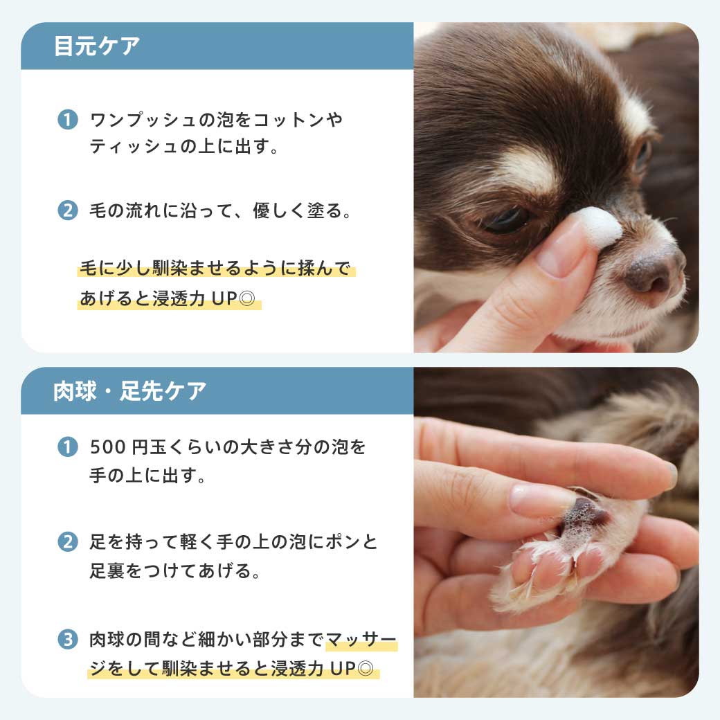 モイスチャームース サイズ: 30ml(定価¥1,080)