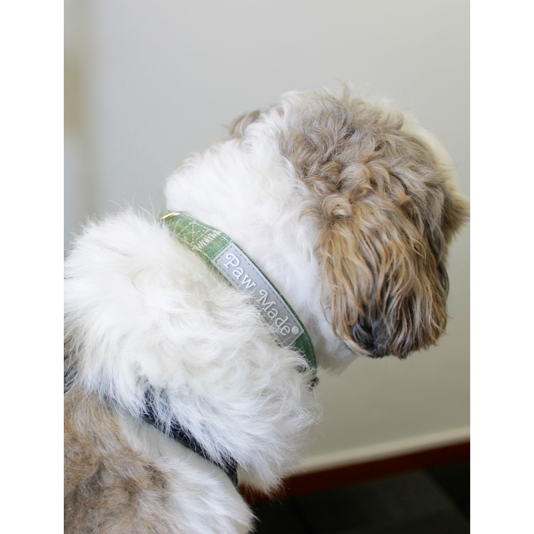 【売り尽くし価格】蒸れにくい竹繊維製の犬用首輪/グレー M