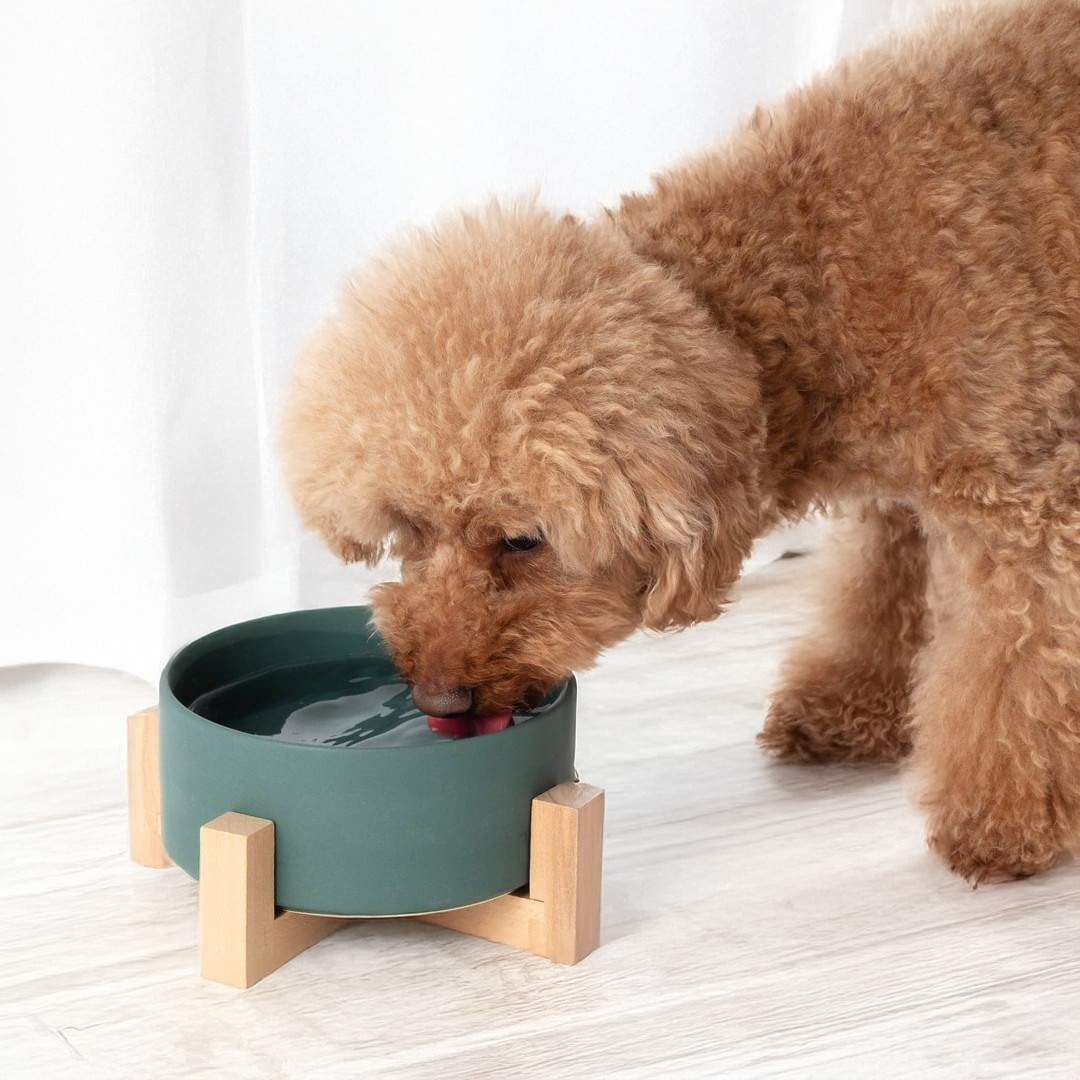 木製スタンド付きセラミックボウル(シングル) 種類: ピンク/M(850ml)