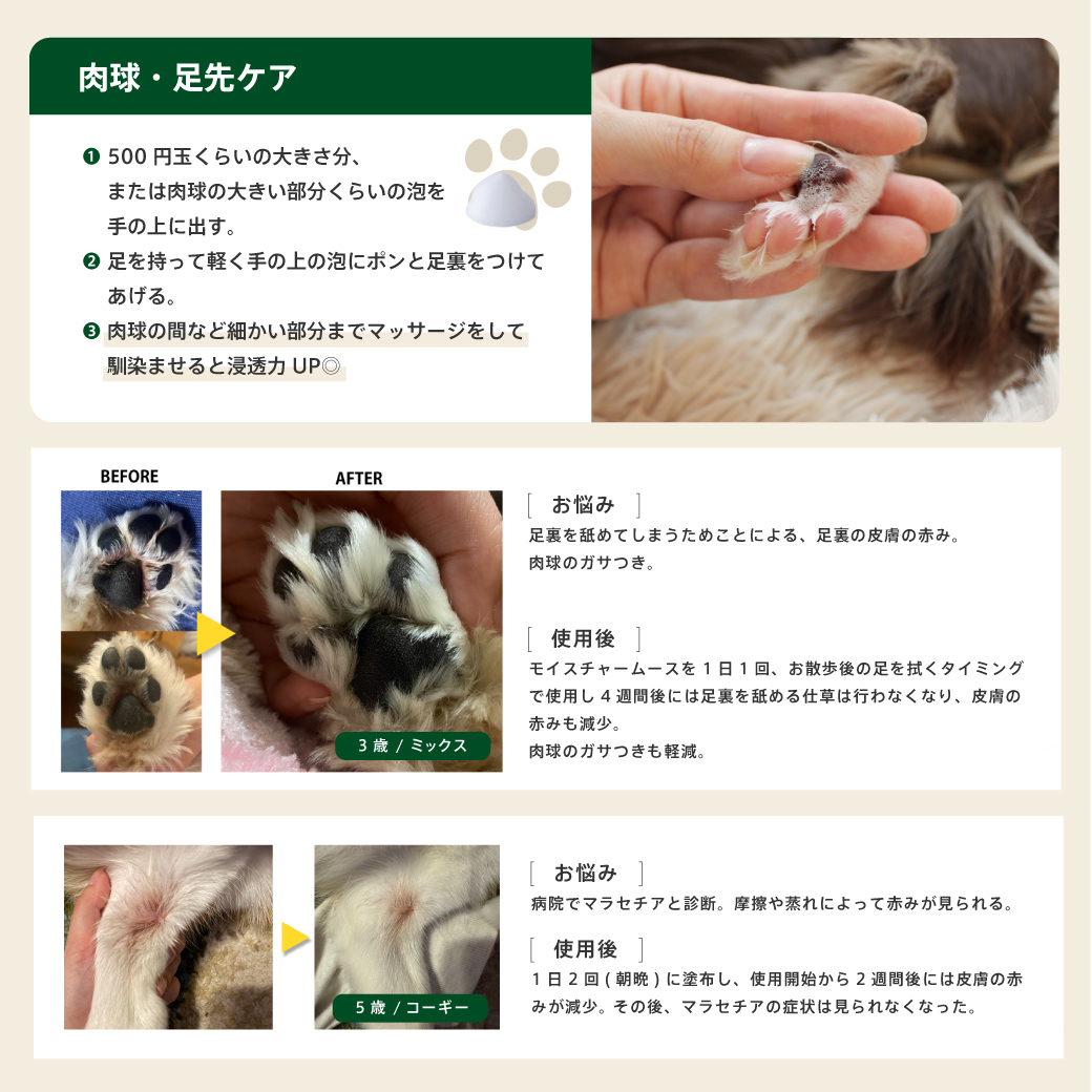 モイスチャームース サイズ: 30ml(定価¥1,080)