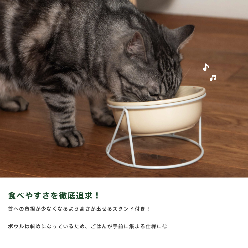 洗いやすいパステルセラミックボウル(シングル)