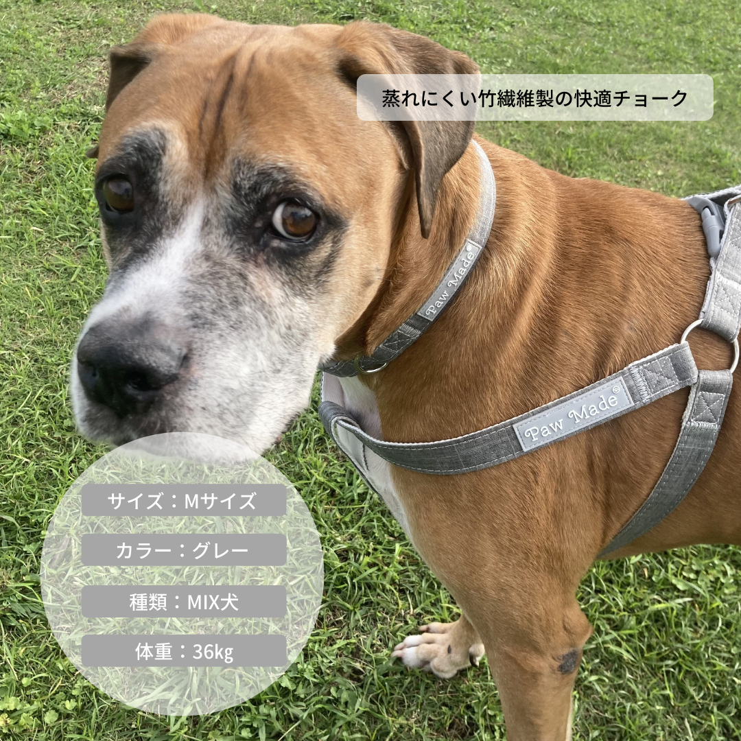 【売り尽くし価格】蒸れにくい竹繊維製の犬用首輪/グレー M