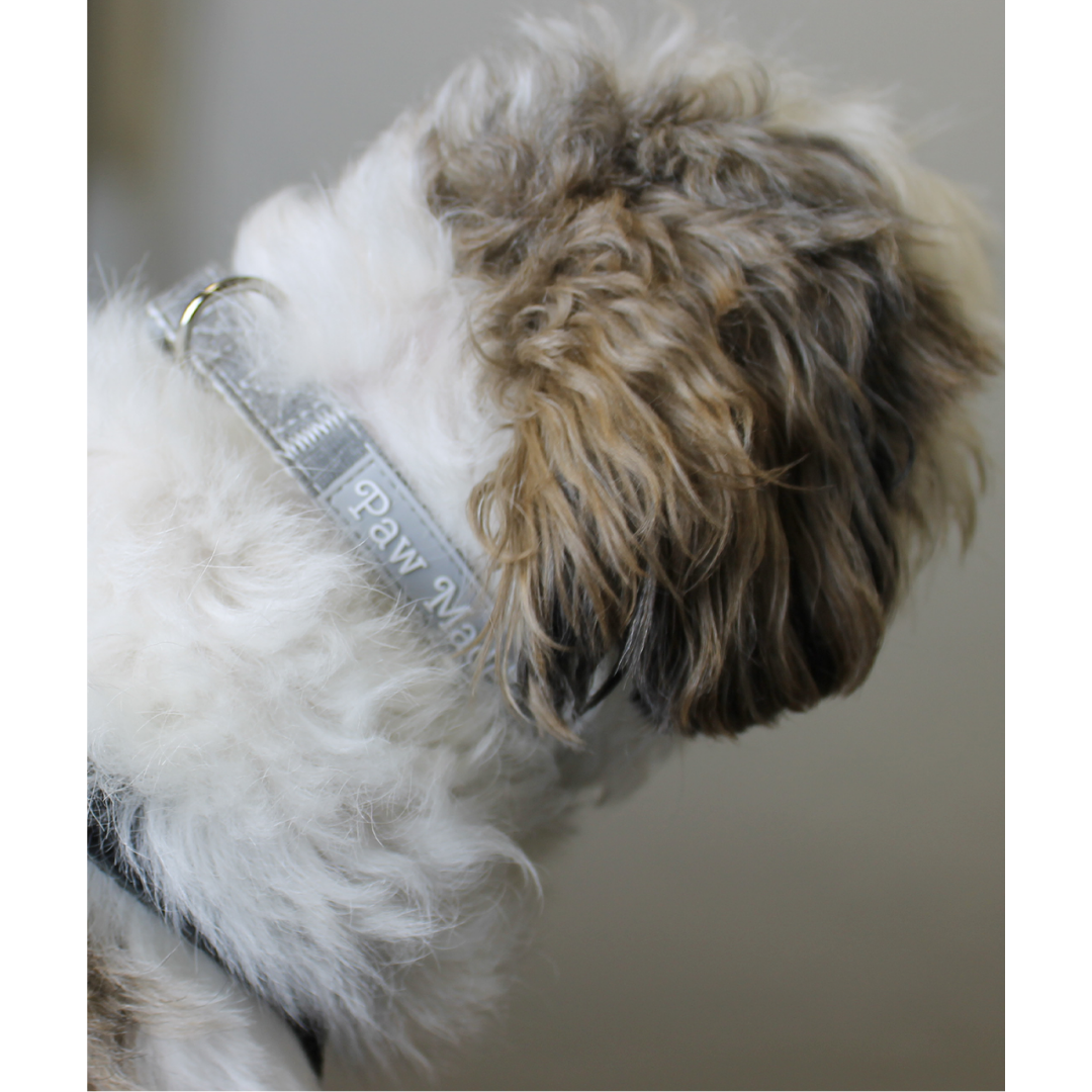 【売り尽くし価格】蒸れにくい竹繊維製の犬用首輪/グレー M